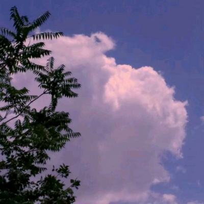塞格雷塔手机版下载